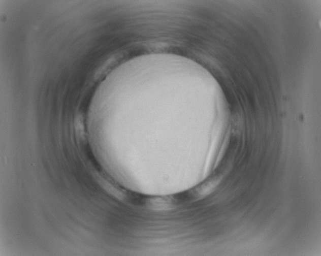 X0000076240238200610261923