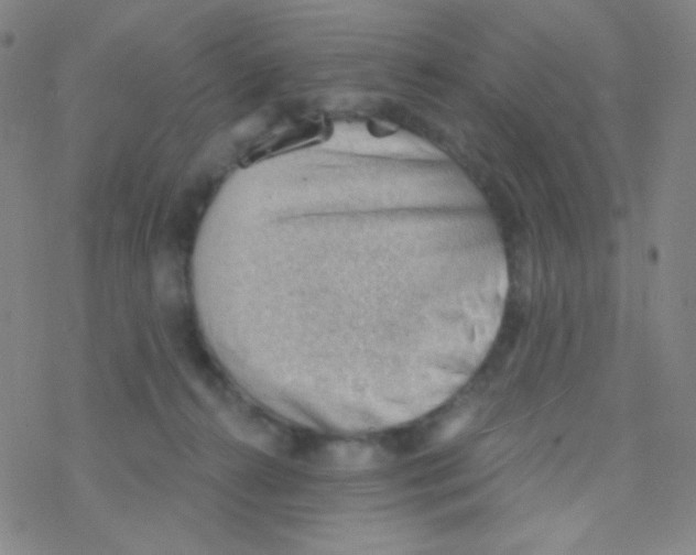 X0000076240272200610261923