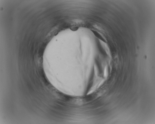 X0000076240276200610261923