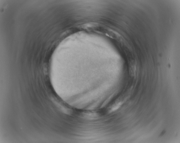 X0000076240284200610261923