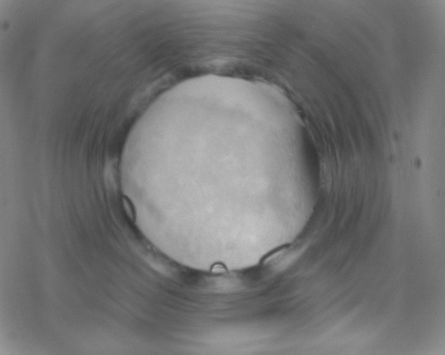 X0000076240286200610261923