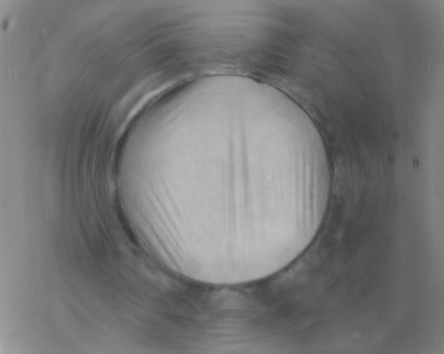 X0000076240290200610261922