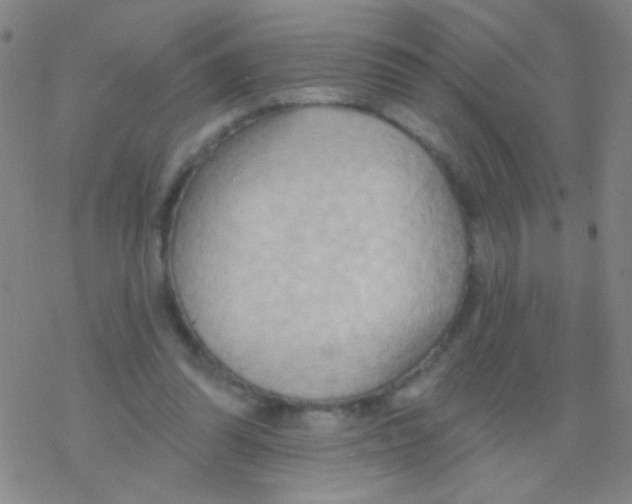 X0000076240302200610261922