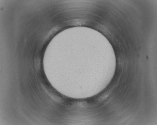 X0000076240304200610261922
