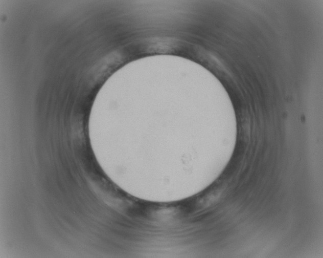 X0000076240312200610261922