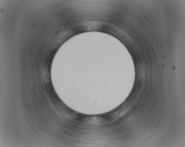 X0000076240316200610261922