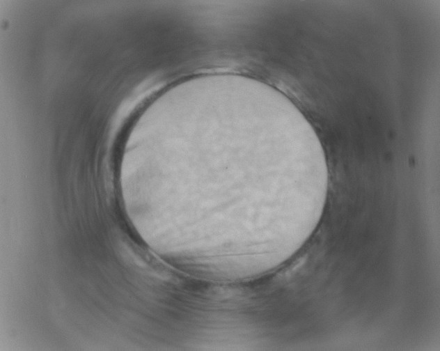 X0000076240343200610261921
