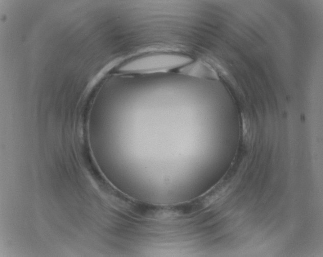 X0000076240348200610261921