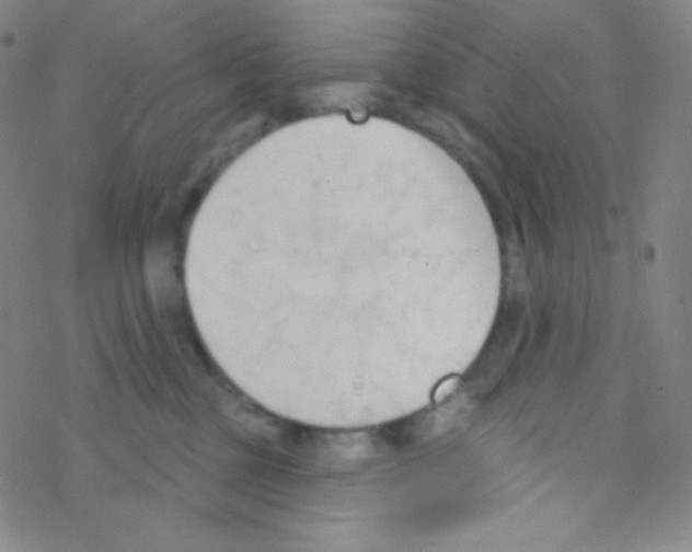 X0000076240377200610261921