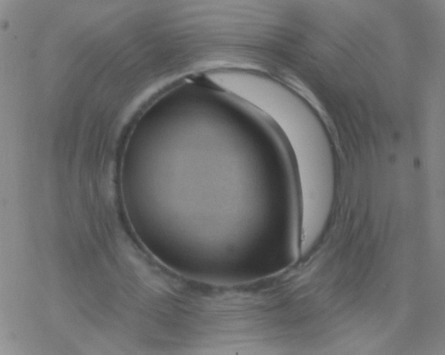 X0000076240387200610261920