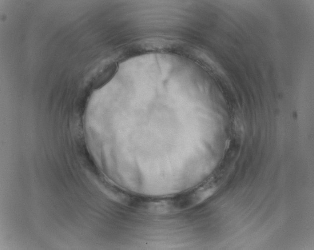 X0000076240411200610261920