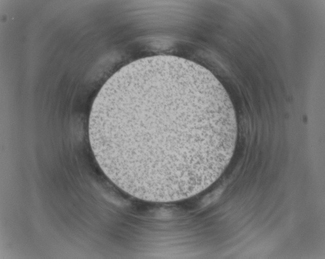 X0000076240412200610261920
