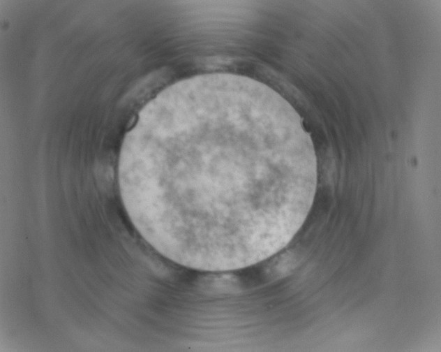 X0000076240427200610261920