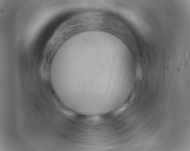 X0000076240431200610261920