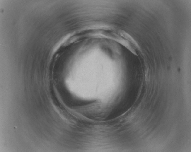 X0000076240436200610261919