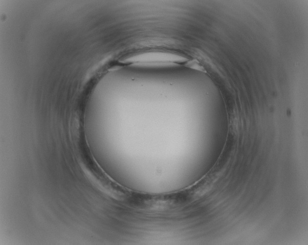 X0000076240448200610261919