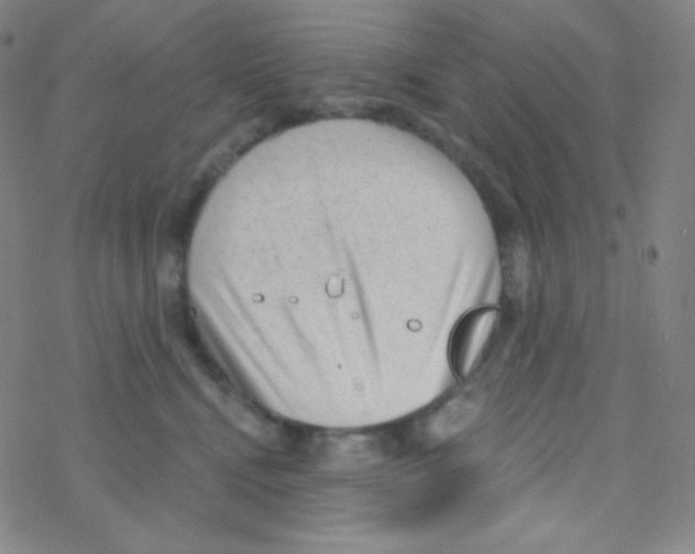 X0000076240472200610261920