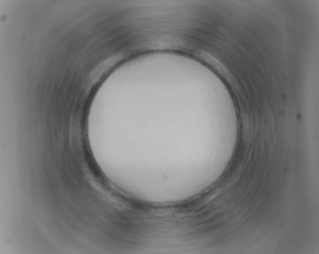 X0000076240482200610261919