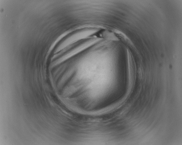 X0000076240484200610261919