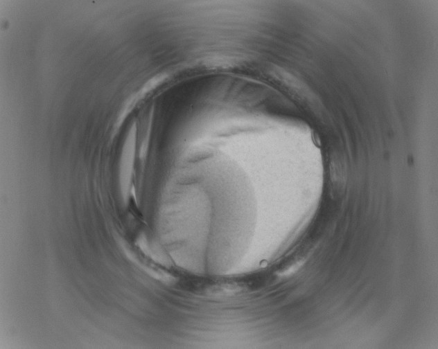 X0000076240492200610261919