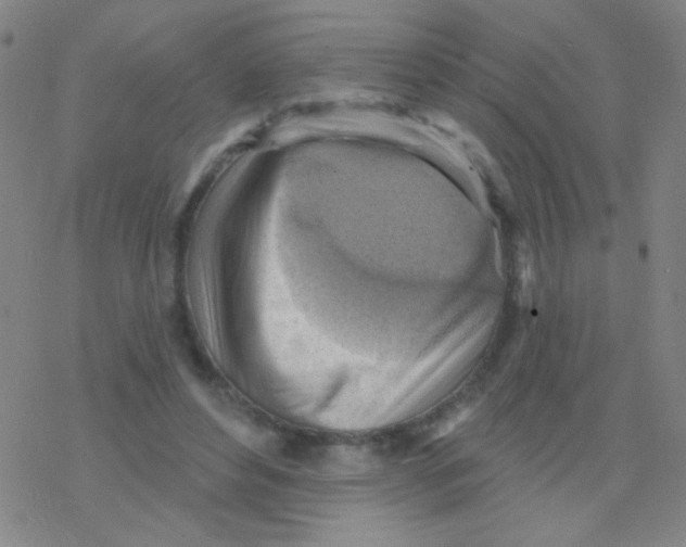 X0000076240496200610261919