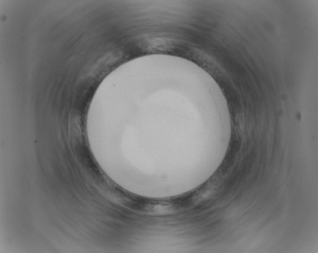X0000076240506200610261919