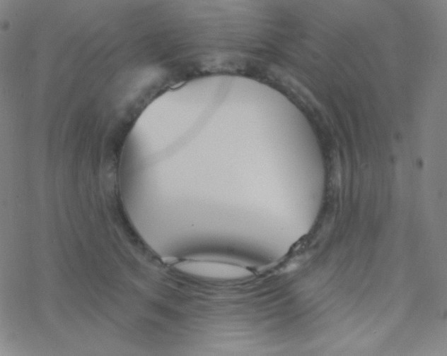 X0000076240513200610261918