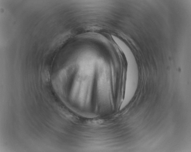 X0000076240517200610261918