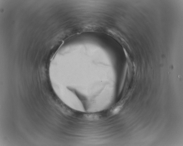 X0000076240520200610261918