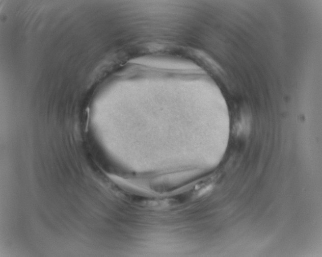 X0000076240524200610261918