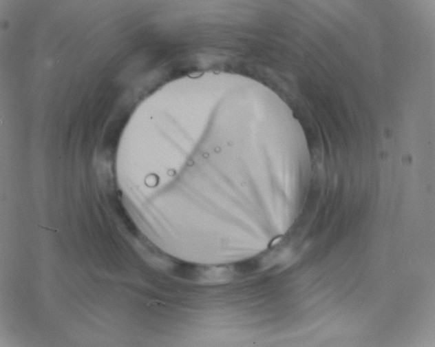 X0000076240527200610261918