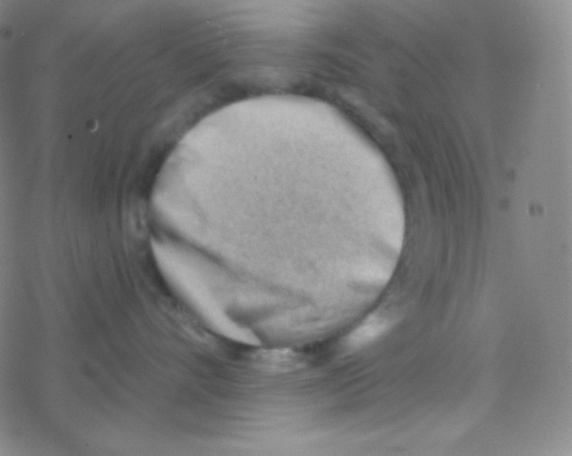 X0000076240528200610261918