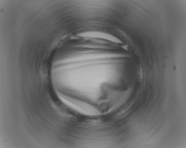 X0000076240552200610261918