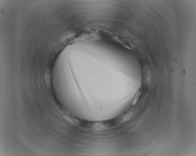 X0000076240562200610261918