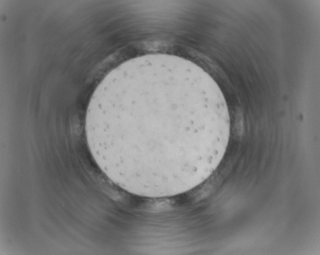 X0000076240569200610261918