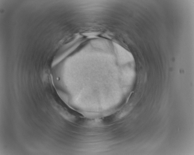X0000076240576200610261918
