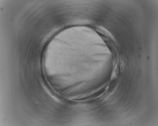 X0000076240581200610261917
