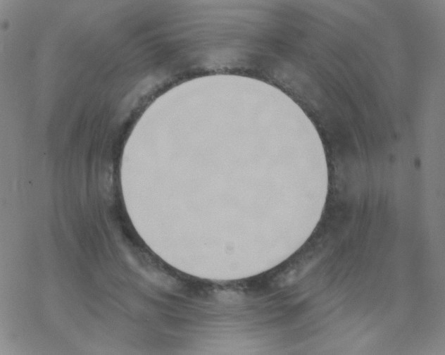 X0000076240592200610261917
