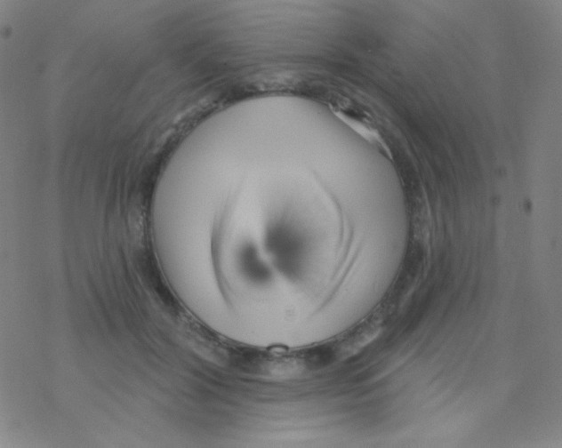 X0000076240604200610261917