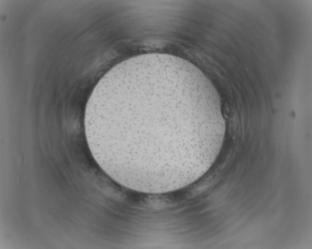 X0000076240608200610261917