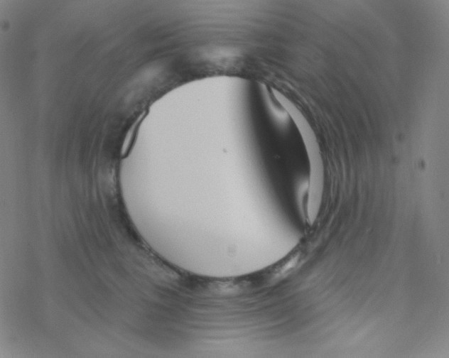 X0000076240613200610261917