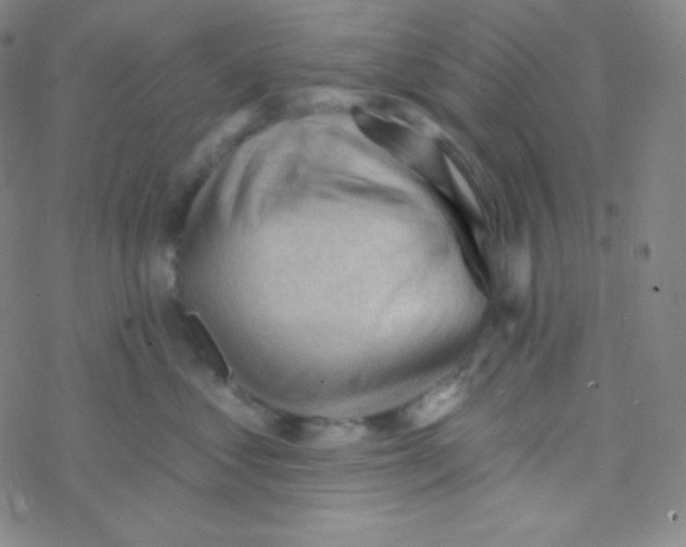 X0000076240621200610261917