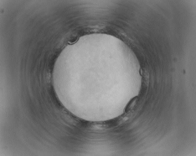 X0000076240657200610261916