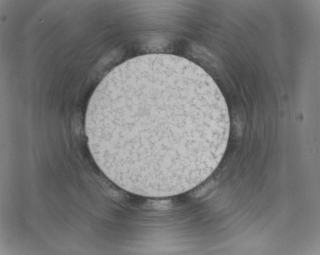 X0000076240665200610261917