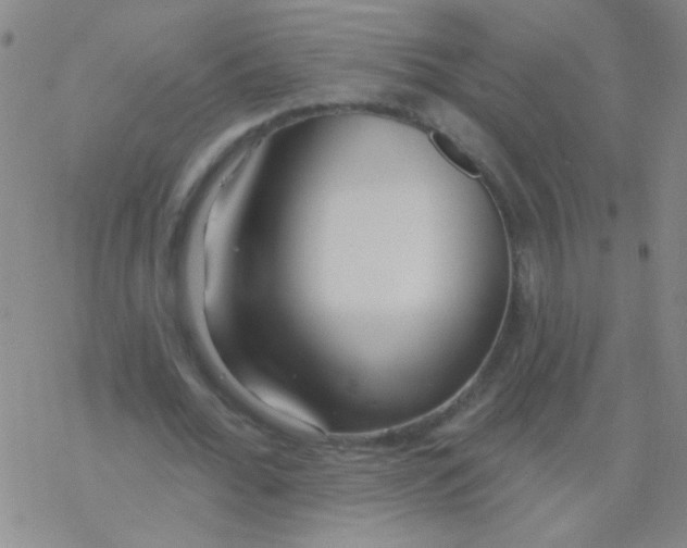 X0000076240676200610261916