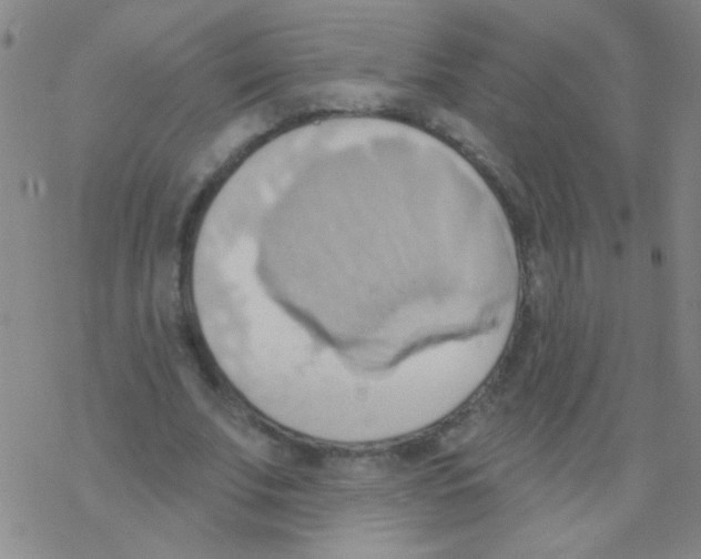 X0000076240679200610261916