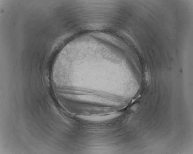 X0000076240688200610261916