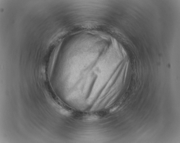X0000076240696200610261915