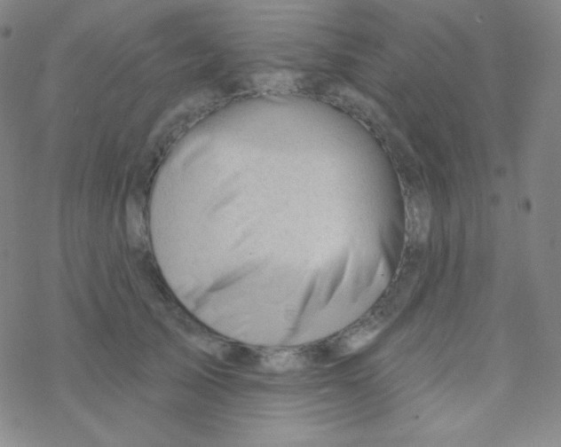 X0000076240705200610261915