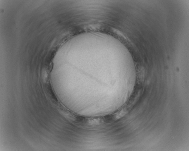 X0000076240709200610261915